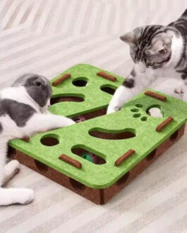 Puzzle Maze Holes