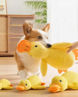 Hug Duck Toys