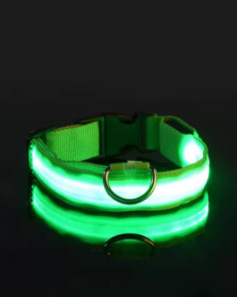 Luminous Dog Collar for Night Safety