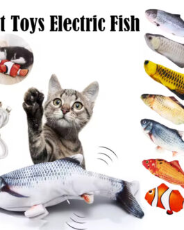 Fish Cat Toy