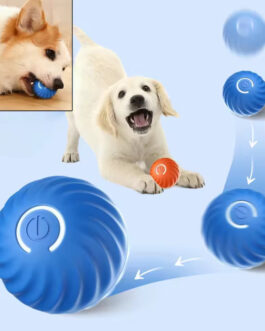 Smart Pet Toy Ball
