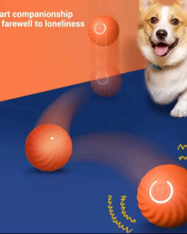 Smart Pet Toy Ball