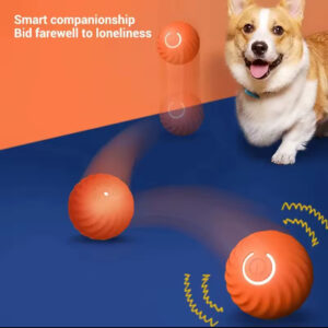 Smart Pet Toy Ball