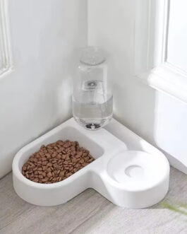 Bowl With Water Dispenser