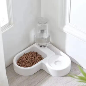 Bowl With Water Dispenser