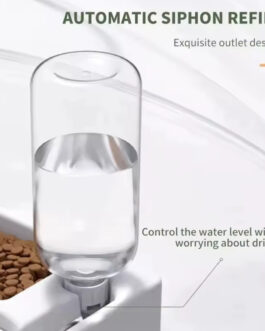 Bowl With Water Dispenser